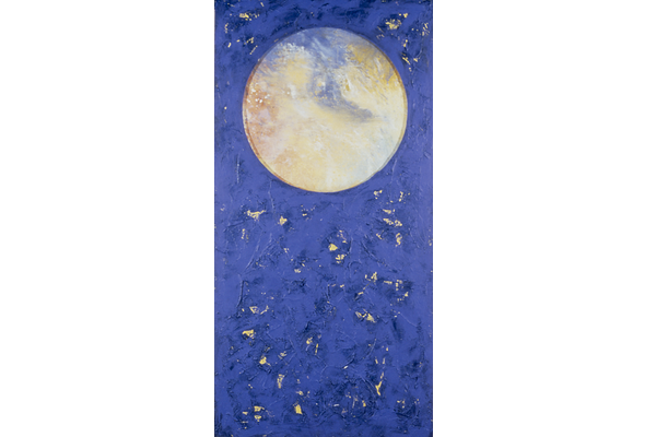 LA TIERRA<br>1993, 350x175cm<br>mural, técnica mixta s/madera y tela transparente<br>Col. Art Foundation Baie Saint, Paul Quebec, Canada